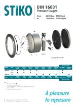 High-pressure gauges - 5