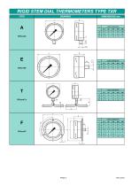 Rigid stem thermometer - 2