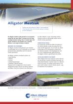 Alligator Mestzak-1