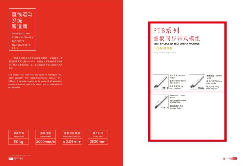Semi enclosed belt linear guide FTB series