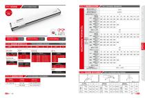 Semi enclosed screw linear guide FTH series-5