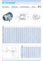 M Series - Three Phase Motor - 10