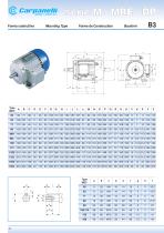 M Series - Three Phase Motor - 8