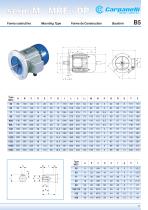 M Series - Three Phase Motor - 9