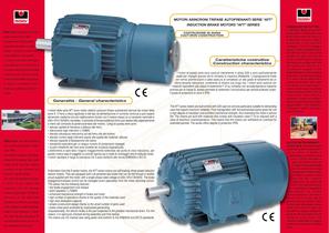 3 phase induction brake motors - 2