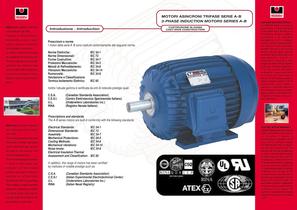 3 Phase induction motor - 2