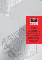 AD-ATEX series flameproof 3 phase induction motors - 1