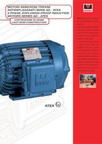 AD-ATEX series flameproof 3 phase induction motors - 3
