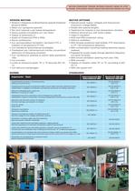 AD-ATEX series flameproof 3 phase induction motors - 5