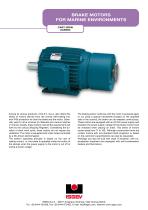 BRAKE MOTORS FOR MARINE ENVIRONMENTS-1