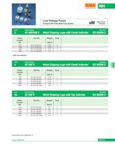 Low Voltage Fuses - 21