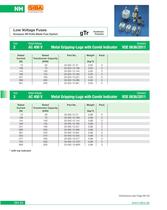 Low Voltage Fuses - 24