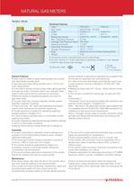 Natural gas meters - 3