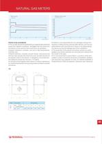 Natural gas meters - 6