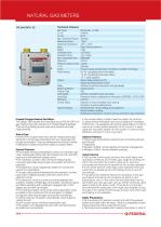 NATURAL GAS METERS - 11