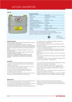 NATURAL GAS METERS - 7