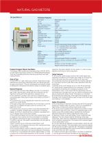 NATURAL GAS METERS - 9