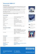 Gaussmeter BGM 101-2