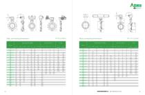 Triple Eccentric Butterfly Valve BTV-TRE-14
