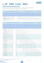L SERIES IN LINE PUMPS-13
