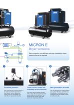 micron-6