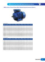 MSD series Three Phase Multi Speed Asynchronous Motors - 2