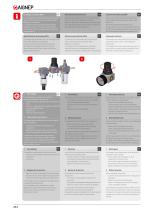 Serie FRL Mini-5