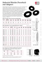 Industrial Ratchet Freewheels - 1