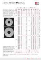 Torque Limiters & Couplings - 5