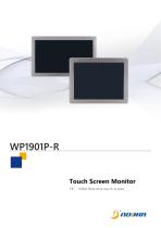 WPXXX1P-R Series Datasheet-4