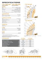 TELESCOPIC HANDLERS-11