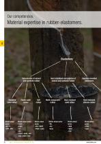 Expertise in rubber-elastomers - 6