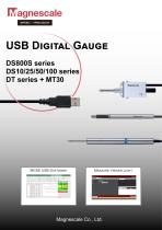 Digital Gauge DS Flyer - 1