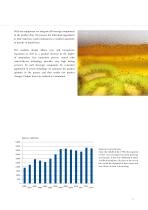 ECO-BEVMIX™- Process Technology for Beer Mix Beverages - 3