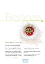 Your strong partner for the food and beverage industries - Brochure - 5