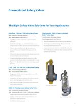 Pressure Relief Valves For Power Service - 7