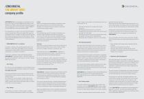 ZINCOMETAL S.A COMPANY PROFILE-2