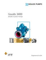 Goulds 3420 Double Suction Pumps - 1