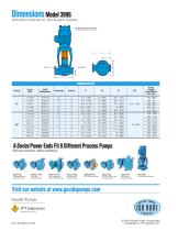 Goulds 3996 In-Line Process Pumps - 9