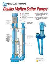 Goulds Molten Sulfur Pumps - 1