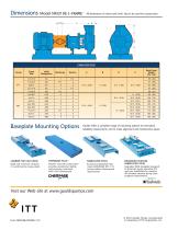 Goulds NM 3196 i-FRAME FRP Process Pumps - 11