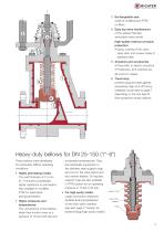 Bellows-sealed Globe Control Valves RSS - 3