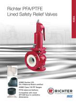 Lined safety relief valves - 1