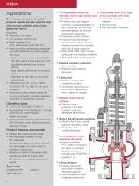 Lined safety relief valves - 2