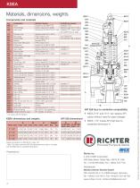 Lined safety relief valves - 4