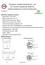 Outdoor-Split Core Current Transformer-2