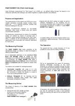 Technical Description Model Paint Borer TCG / WedgeSoft X-2