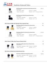 SANLIXIN SOLENOID VALVE-10