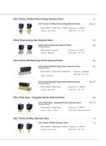 SANLIXIN SOLENOID VALVE-11