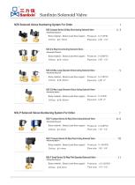 SANLIXIN SOLENOID VALVE-6